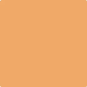 124: Orange Appeal  by Benjamin Moore