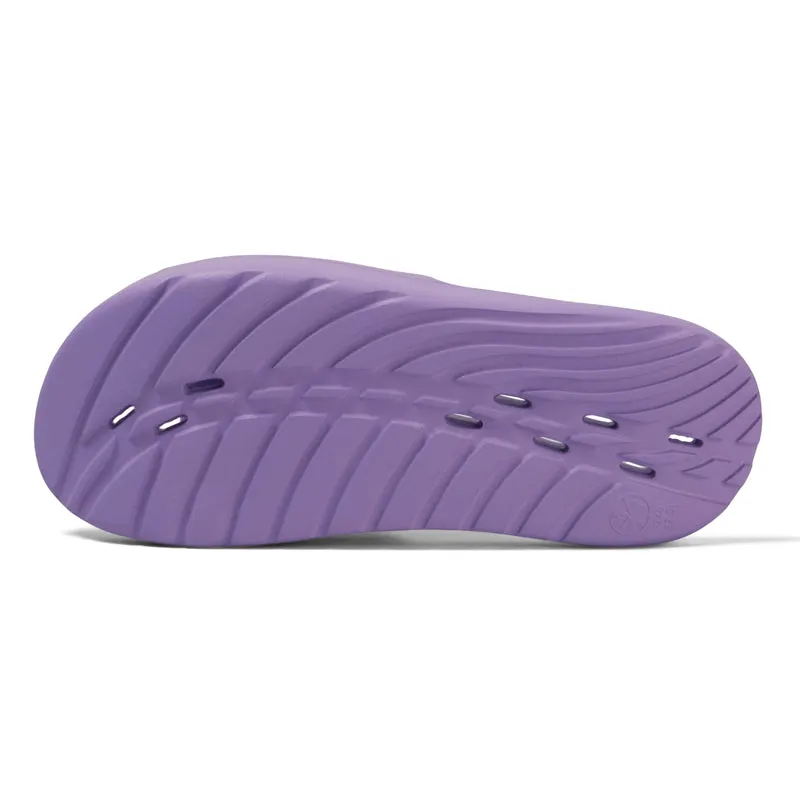 Speedo - Women's Slides - Purple